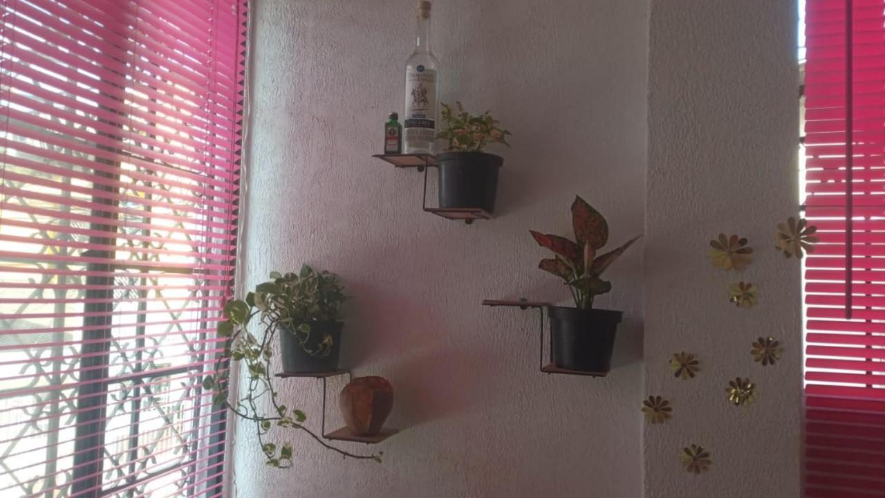 Cat Family Lodging Cartagena Exterior foto